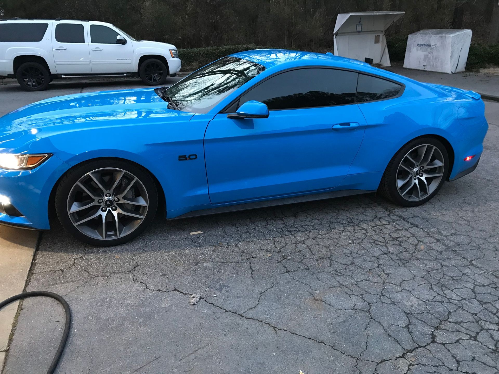 Blue Mustang GT Window Tint